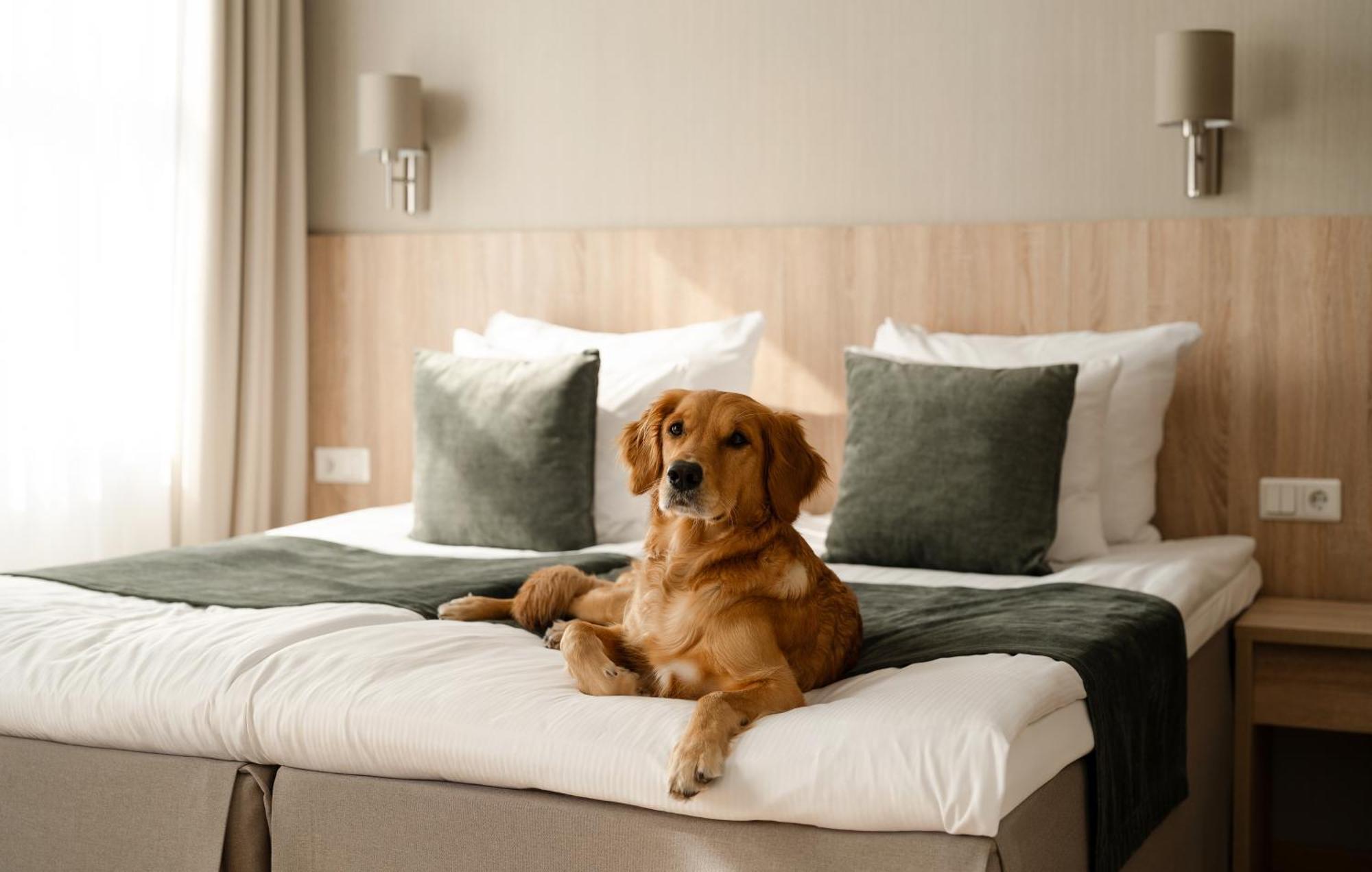 Hotell Kreutzwald Tallinn